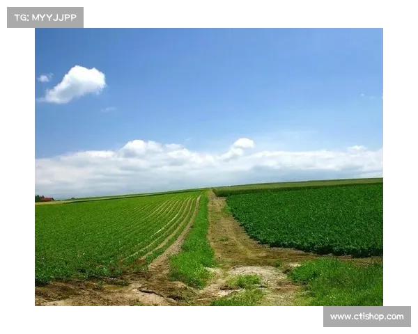 偷笑门事件揭秘 揭开幕后真相与社会反响的深度分析 偷笑门事件揭秘 揭开幕后真相与社会反响的深度分析